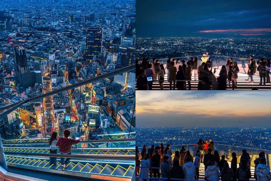 Ngắm cảnh từ trên cao là một trong những trải nghiệm ấn tượng nhất khi khám phá Tokyo