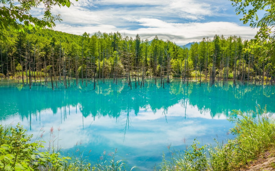 Điểm nhấn của Biei là Ao Xanh với màu xanh ngọc bích kỳ ảo thay đổi theo ánh sáng mặt trời