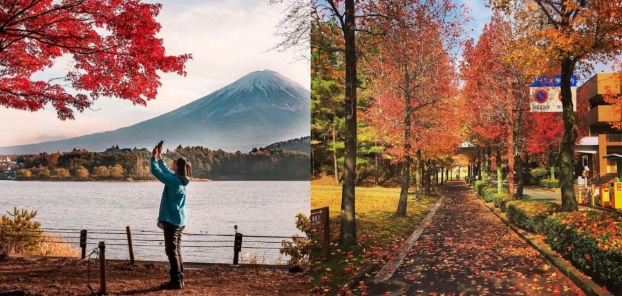 Du lịch Hokkaido khiến nhiều du khách thích thú khi khoác lên mình tấm áo rực rỡ của lá đỏ
