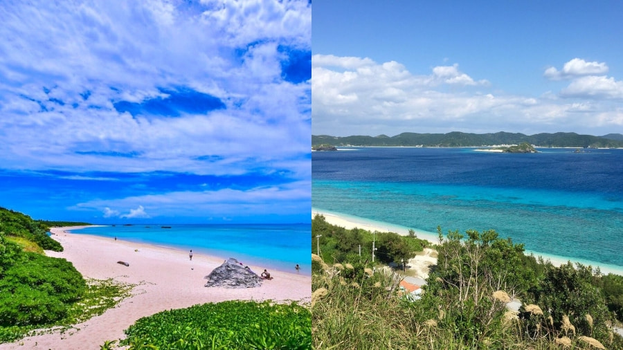 Bãi biển Nishihama – Vẻ đẹp hoang sơ tận cùng