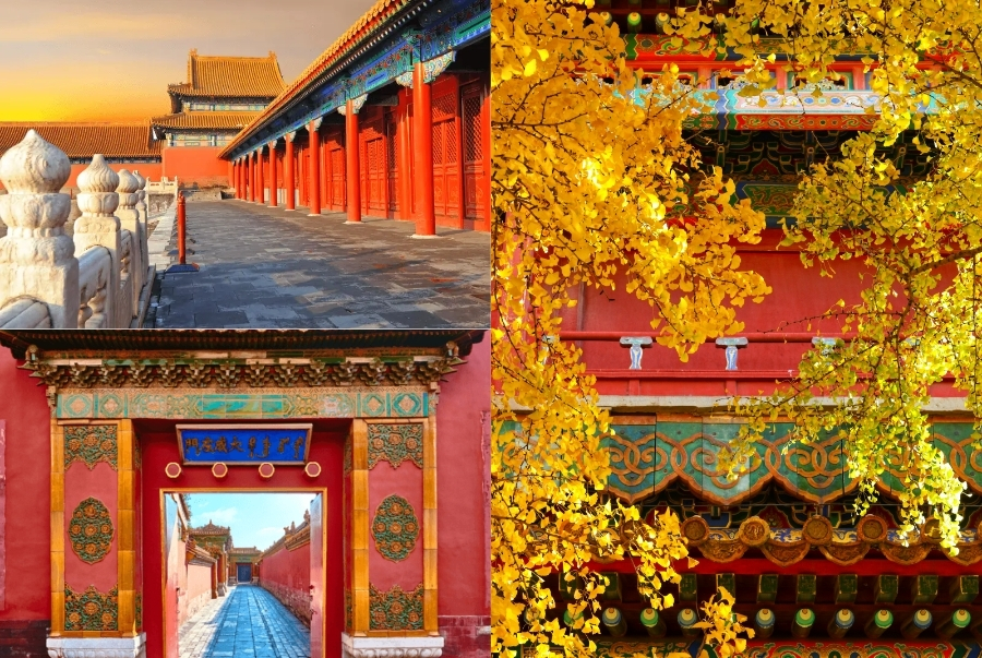 Kiến trúc màu đỏ rực càng làm tôn lên sắc vàng óng ả của lá thu trải dài khắp lối đi