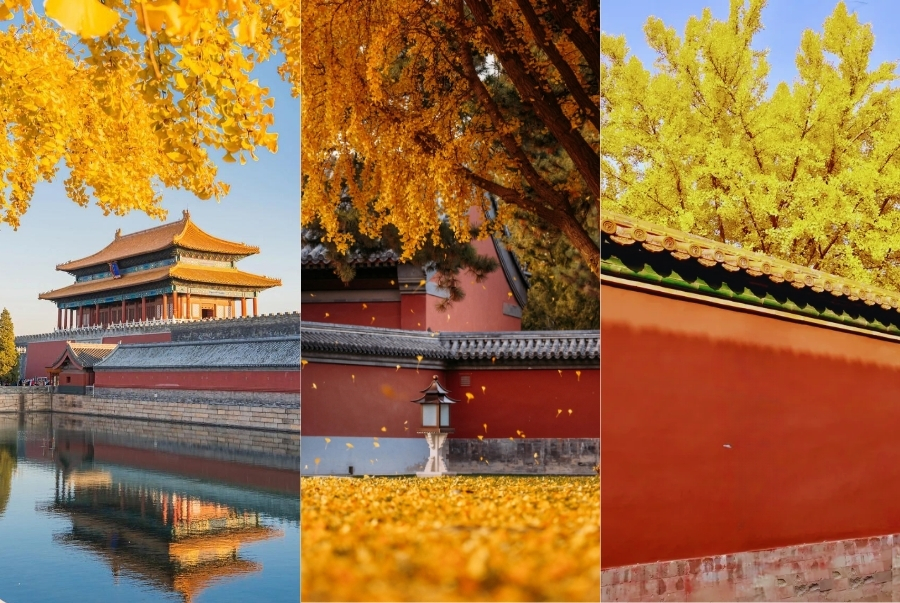 Các góc chụp từ chân tường, dưới tán cây hoặc ven hồ là những khung cảnh lên hình đẹp nhất