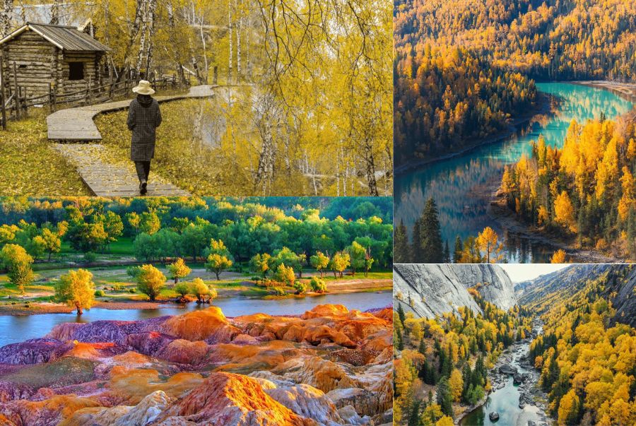 Cảnh sắc Tân Cương mùa thu trở nên rực rỡ với lá vàng, lá đỏ đan xen