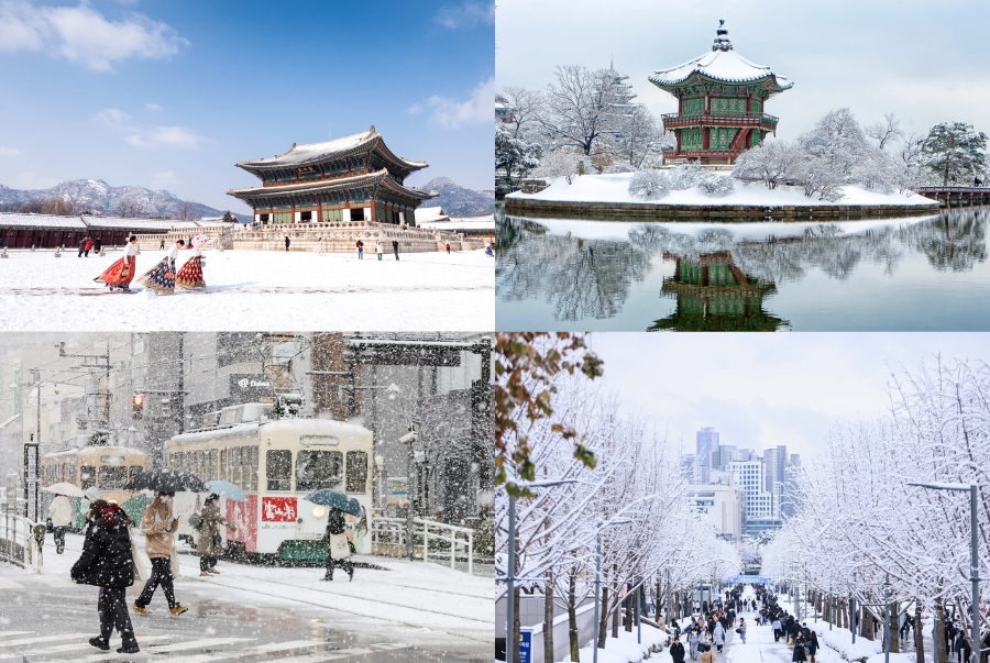 Khung cảnh mùa đông nơi đây luôn là một trong những lý do khiến du khách yêu thích tour Hàn Quốc dịp Tết