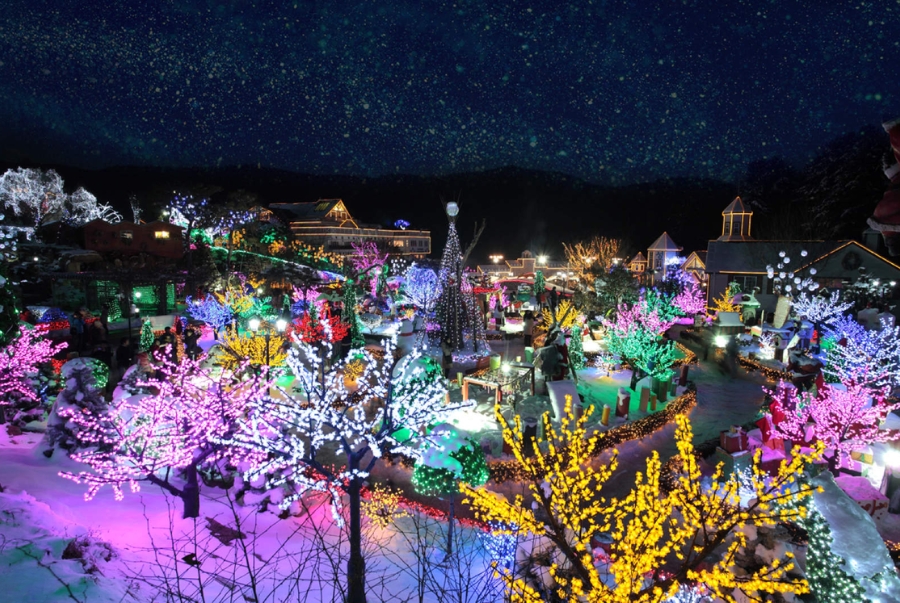 Lễ hội ánh sáng lung linh với hàng triệu bóng đèn được trang trí khắp khu vườn