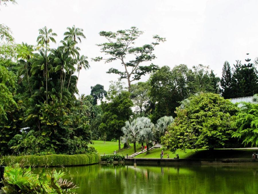 Không gian xanh mát ở Vườn Bách thảo Botanic Gardens