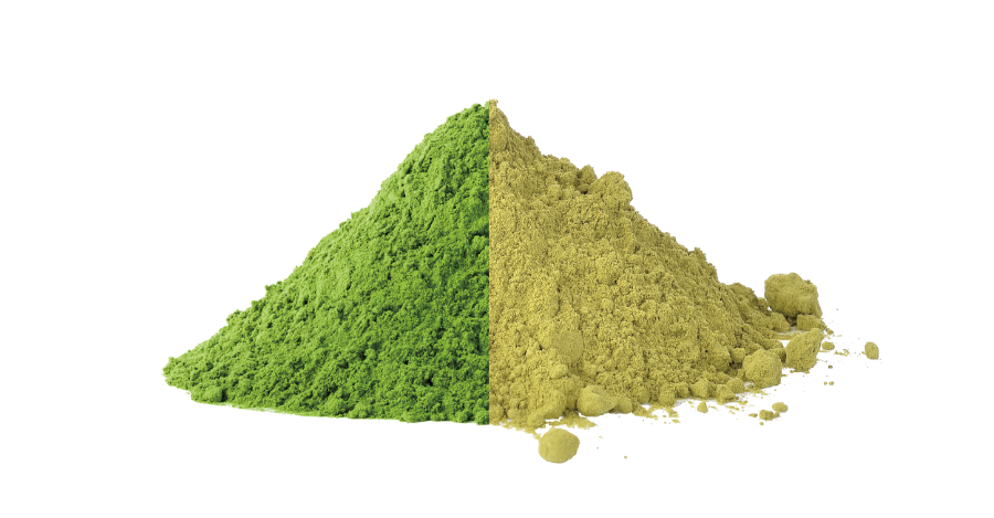 Màu xanh của bột Matcha thường là dấu hiệu nhận biết chất lượng của nó