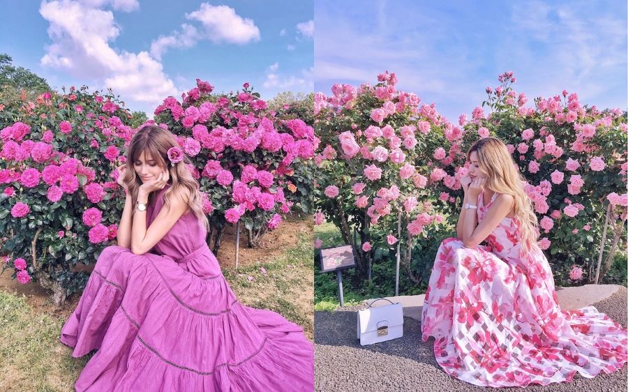 Mùa hoa Nhật Bản rực rỡ với nhiều sắc màu khác nhau