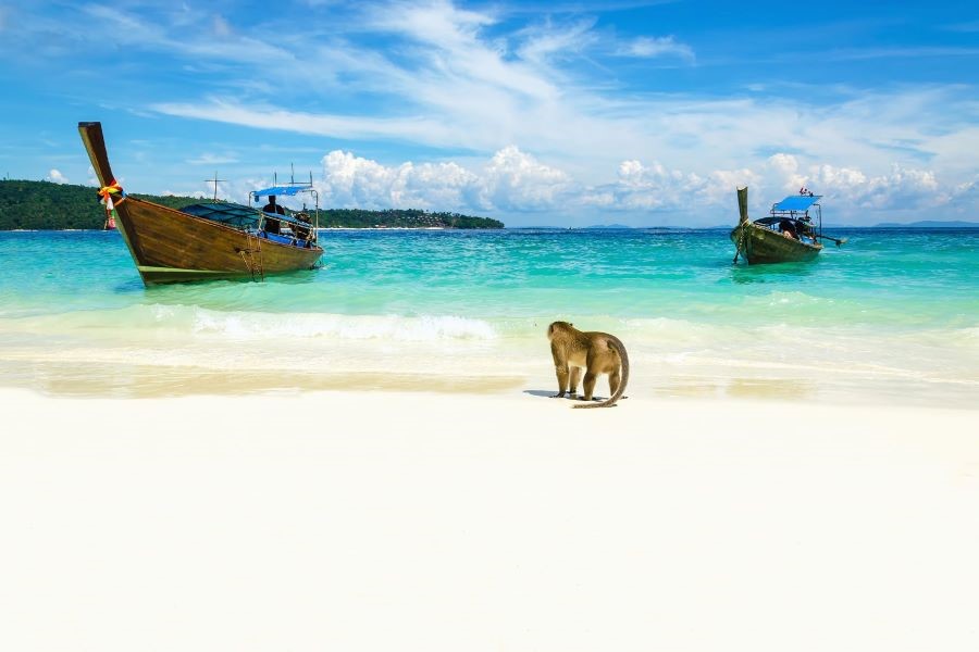 Đừng quên check-in tại bãi tắm Monkey Beach xinh đẹp nữa nhé!