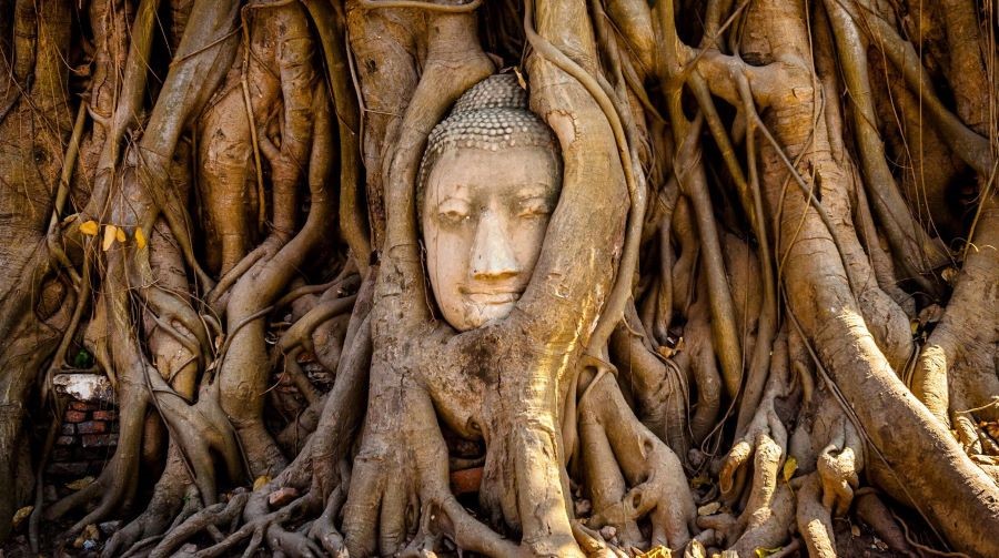 Wat Phra Mahathat - nổi tiếng với bức tượng Phật nằm trong rễ cây bồ đề