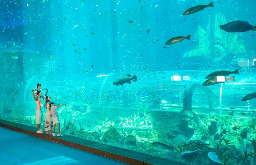 VinWonder là tổ hợp khu vui chơi giải trí sầm uất nhất tại Phú Quốc