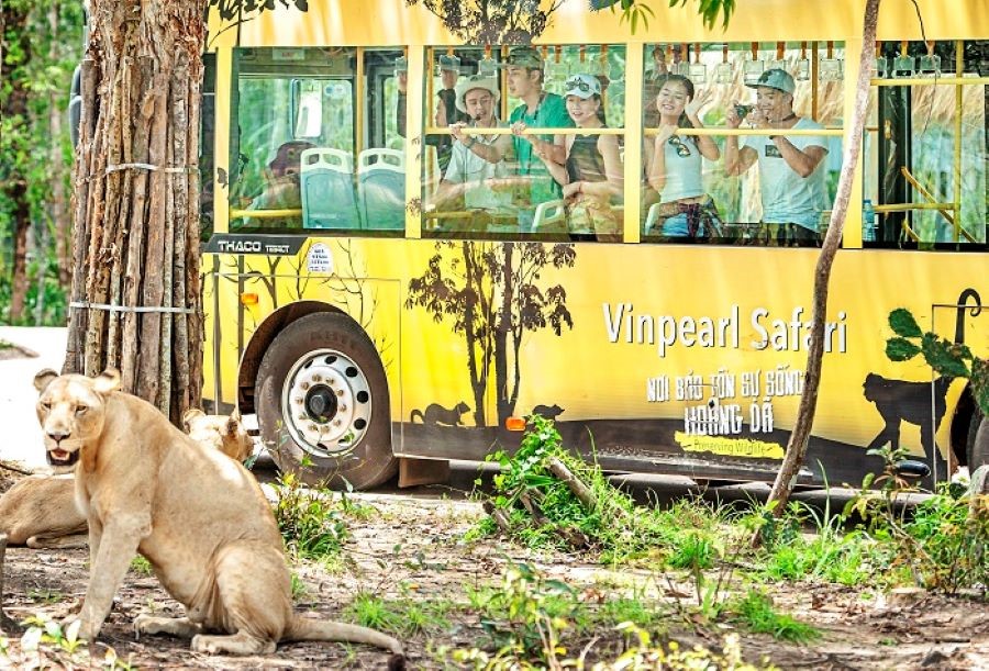 Vinpearl Safari Phú Quốc là ngôi nhà chung của nhiều loài động vật