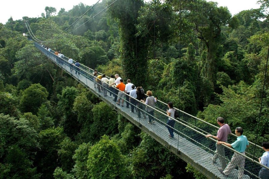 Công viên MacRitchie Reservoir được ví là viên ngọc xanh