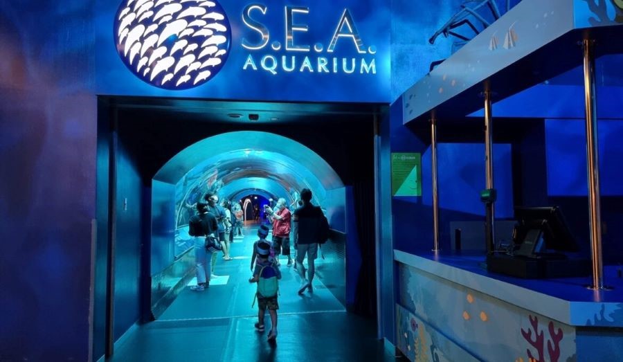 Thuỷ Cung S.E.A Aquarium Singapore là một trong những thủy cung lớn nhất trên thế giới
