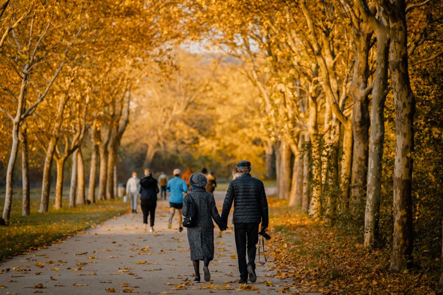 Du khách có thể đi bộ dưới các tán cây để cảm nhận vẻ đẹp yên bình của mùa thu