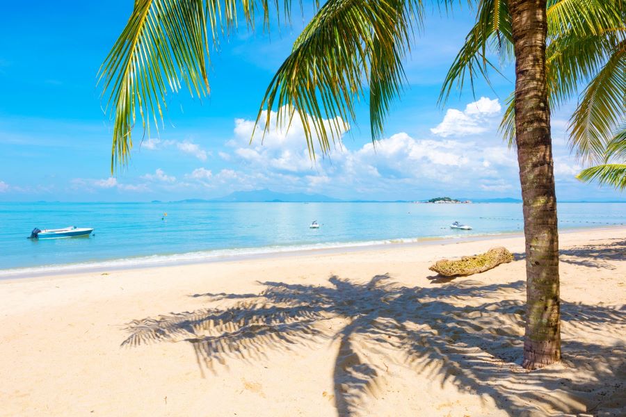 Penang tựa như một viên ngọc quý ẩn mình giữa biển cả mênh mông, níu chân du khách bởi vẻ đẹp say đắm và những trải nghiệm khó quên