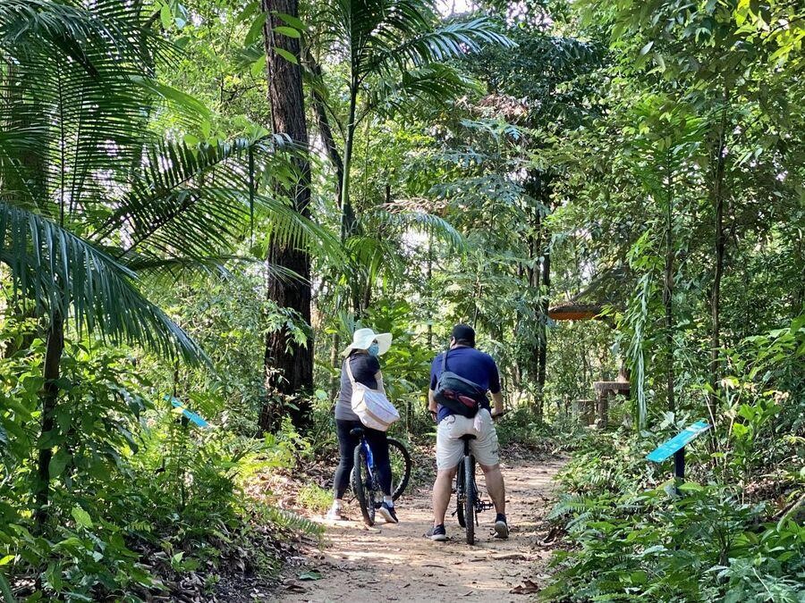 Sentosa Nature Discovery là nơi bạn có thể khám phá hệ sinh thái và tìm hiểu về sự đa dạng của thiên nhiên.