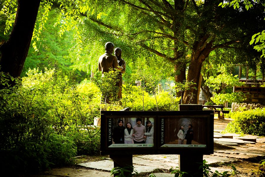 Đảo Nami - Nơi nổi tiếng với khung cảnh lãng mạn cũng như nơi ghi hình của nhiều bộ phim Hàn Quốc nổi tiếng