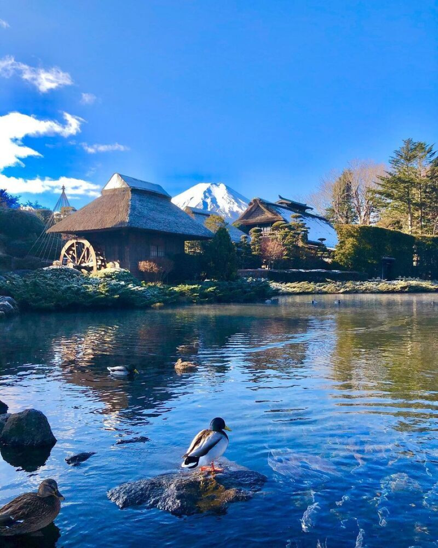 Những hồ nước nhỏ nằm rải rác khắp làng, mỗi hồ đều mang một vẻ đẹp riêng