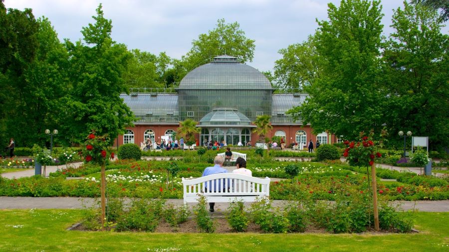 Vườn thực vật Palmengarten là một trong hai vườn thực vật nổi tiếng nhất tại thành phố Frankfurt của Đức