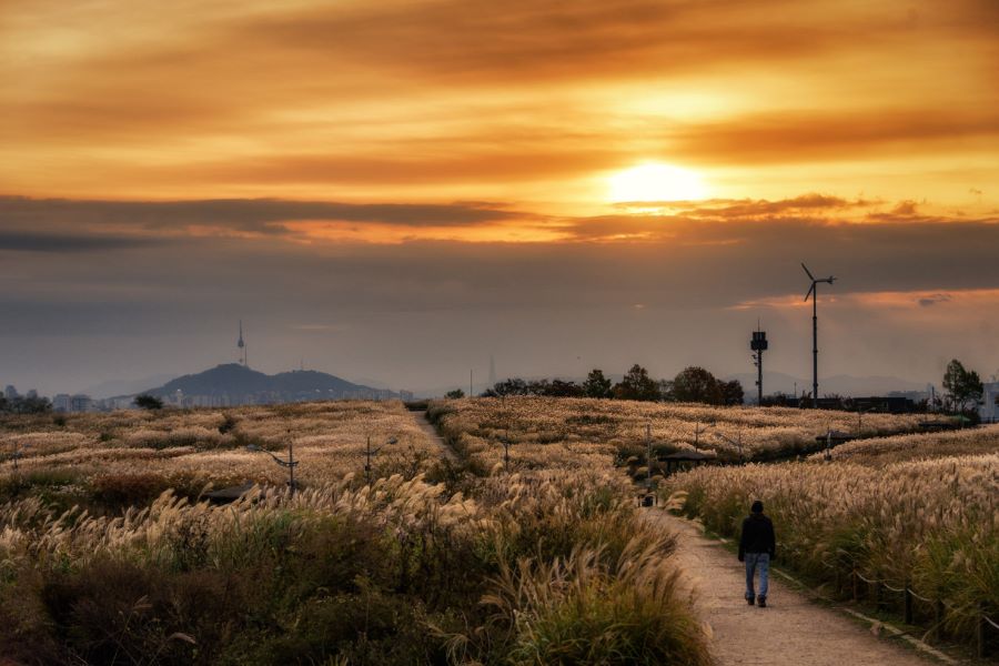 Khung cảnh như đi về hướng bình minh tại Công viên Haneul