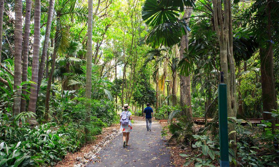 Brisbane được biết đến là địa điểm du lịch đa dạng sinh học nhất xứ sở chuột túi