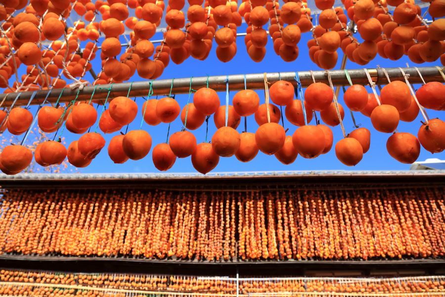 Người ta sẽ treo hồng vào những sợi dây dài và treo lủng lẳng bên hông nhà cho hồng tự khô bằng gió