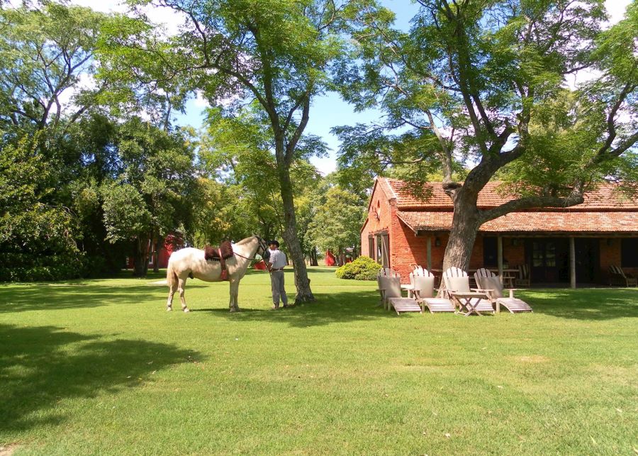 Ghé thăm một “estancia” - trang trại điển hình kiểu Argentina