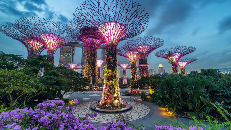 Gardens by the Bay - Một trong những địa điểm du lịch miễn phí tại Singapore