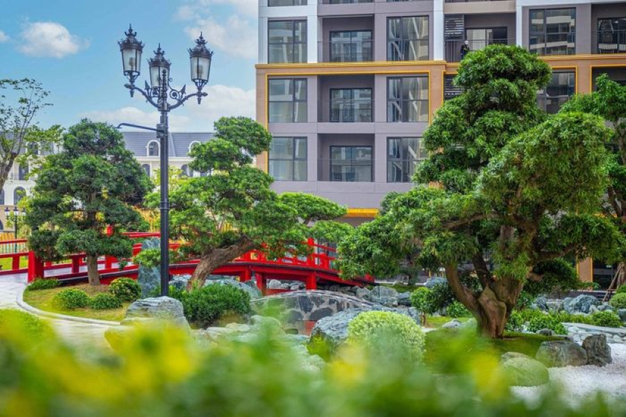 Bước chân đến Zen, bạn như lạc bước vào một thế giới hoàn toàn khác biệt