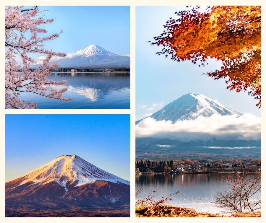 Khung cảnh núi Phú Sĩ với cảnh đẹp 4 mùa