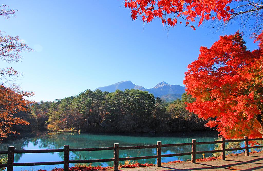 Fukushima - Trải nghiệm mùa thu tại 'vùng đất chết' 