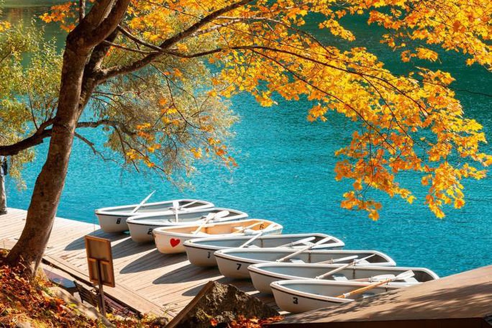 Fukushima - Trải nghiệm mùa thu tại 'vùng đất chết' 