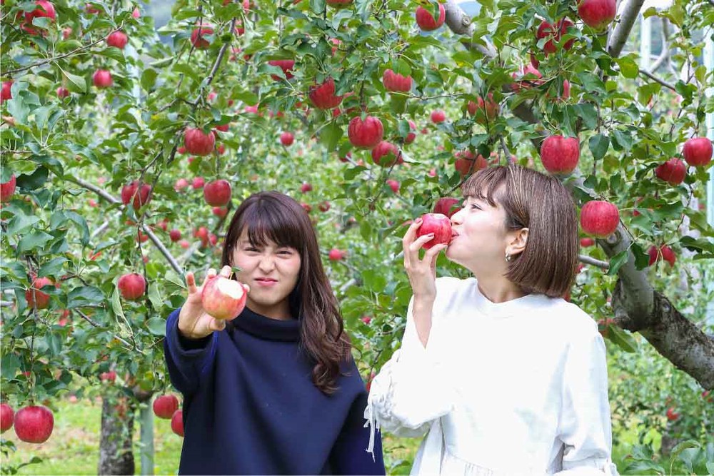 Fukushima - Trải nghiệm mùa thu tại 'vùng đất chết' 