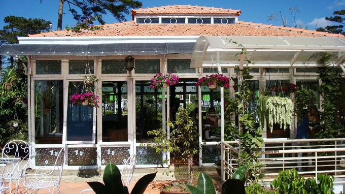 Hoa Violet Ngày Thứ Tư-min