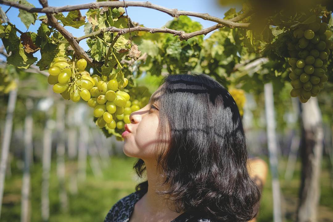 Khau Chee Chan - Núi Phật Vàng Pattaya độc đáo