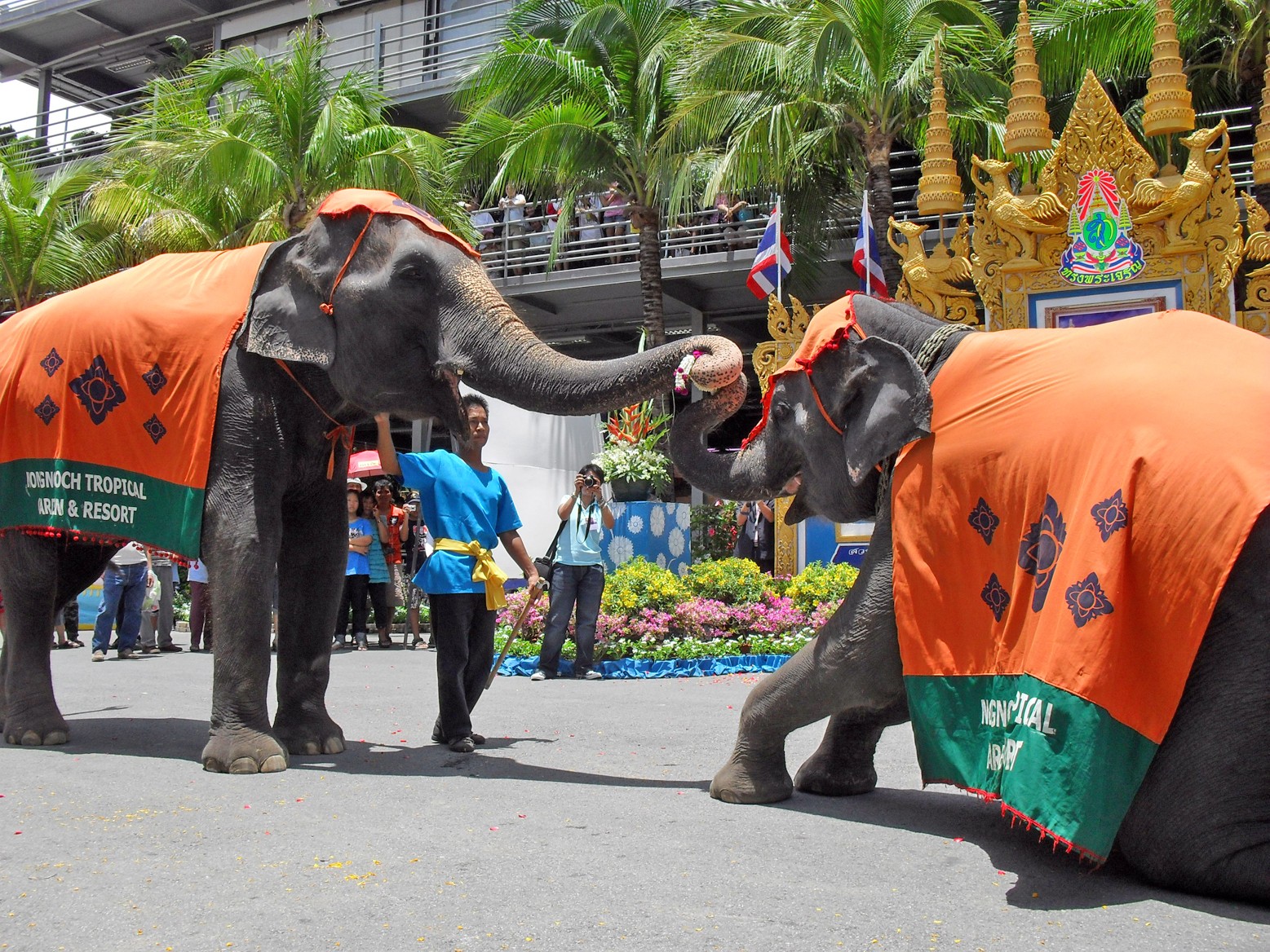 Khau Chee Chan - Núi Phật Vàng Pattaya độc đáo
