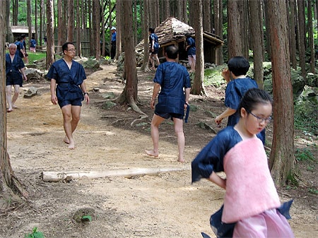 Khu rung Vivi Ecotopia