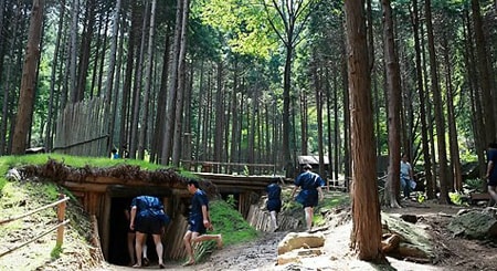 Khu rung Vivi Ecotopia