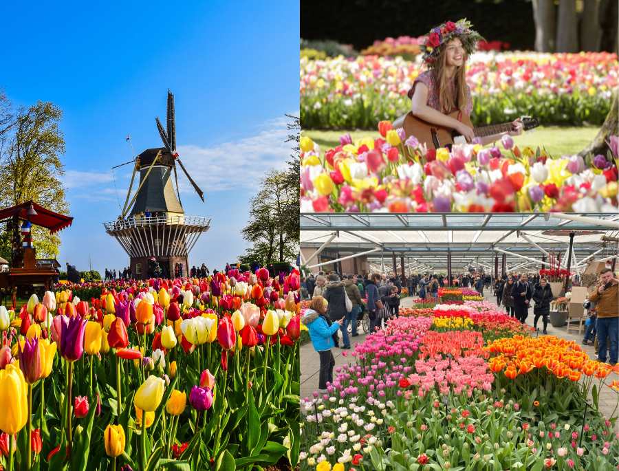 Lễ hội hoa Floriade là trải nghiệm không thể bỏ lỡ cho những vị khách yêu hoa
