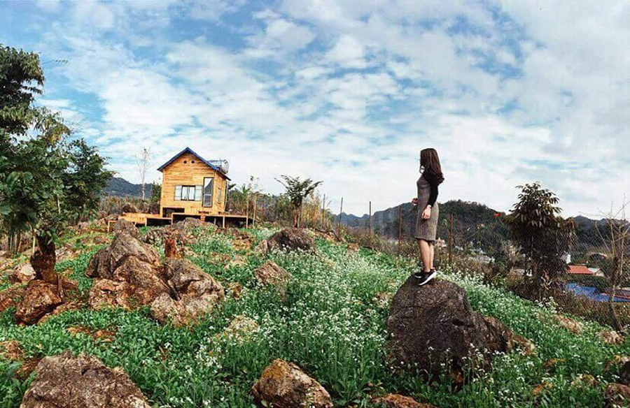 Mama's House Mộc Châu - Điểm đến tuyệt vời cho du khách Tây Bắc
