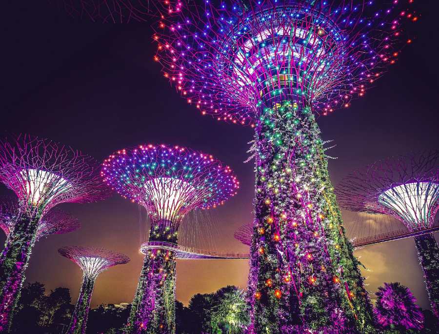 Điểm nhấn của Gardens by the Bay chính là Supertree Grove