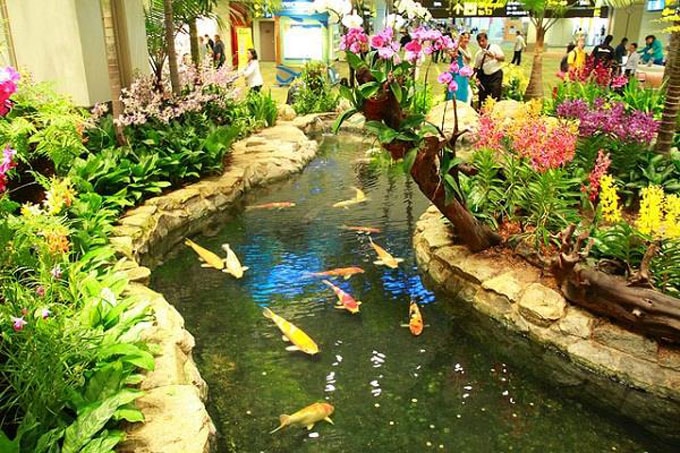 Vườn lan ở sân bay Changi-min