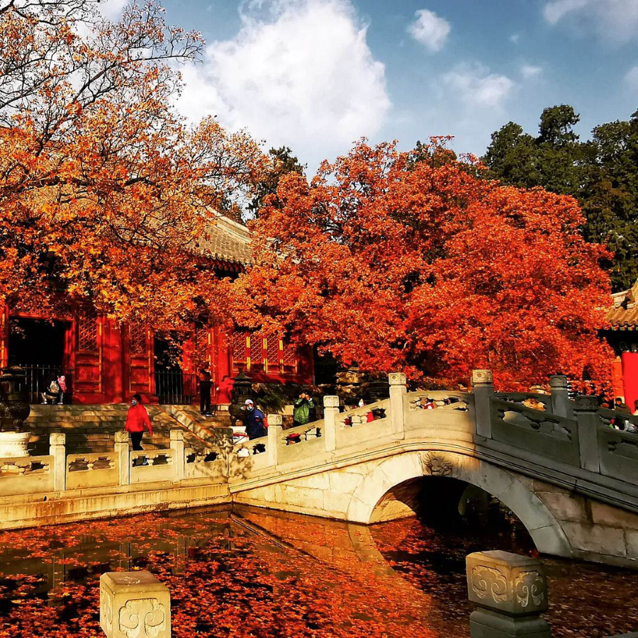 Khung cảnh tuyệt đẹp của Hương Sơn mùa lá đỏ