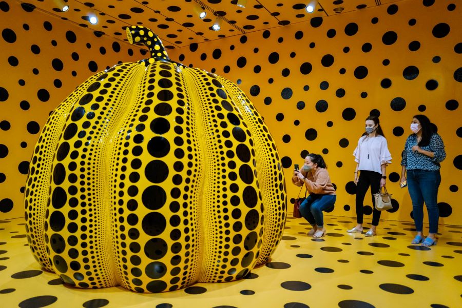Bảo tàng Mỹ thuật Yayoi Kusama thu hút rất nhiều du khách đến tham quan