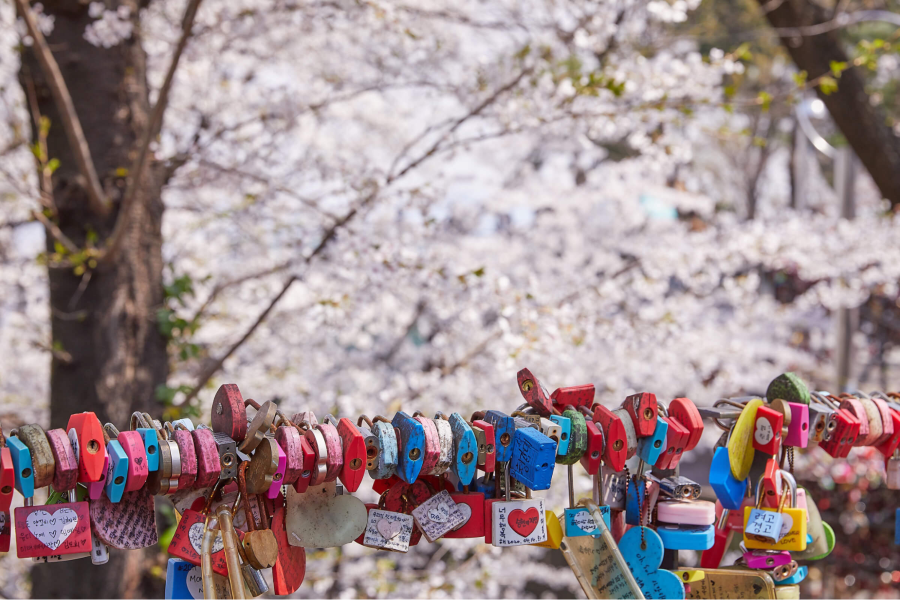Những chiếc ổ khoá tình yêu tại Tháp Namsan - Nơi ghi dấu về những lời hứa cho một tình yêu vĩnh cửu