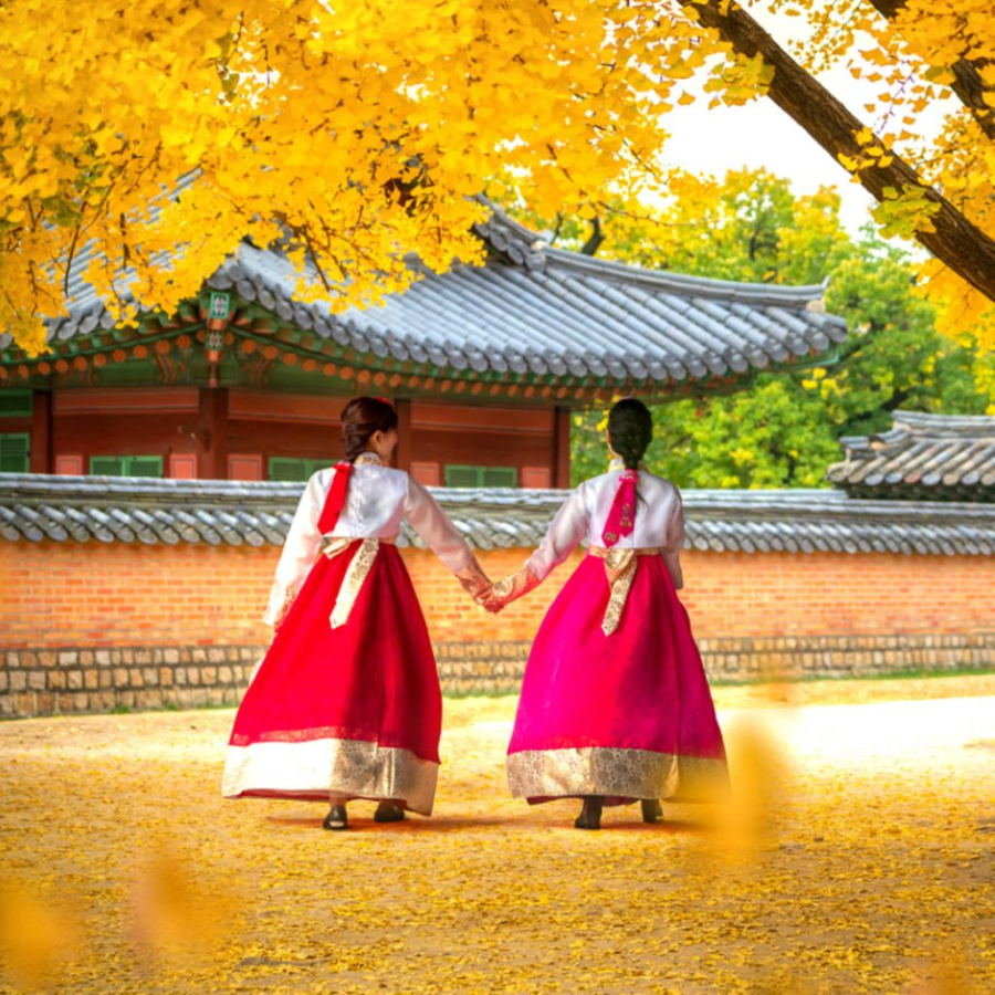 Mùa thu Hàn Quốc mang đến một khung cảnh lãng mạn với những hàng cây lá đỏ vàng rực rỡ