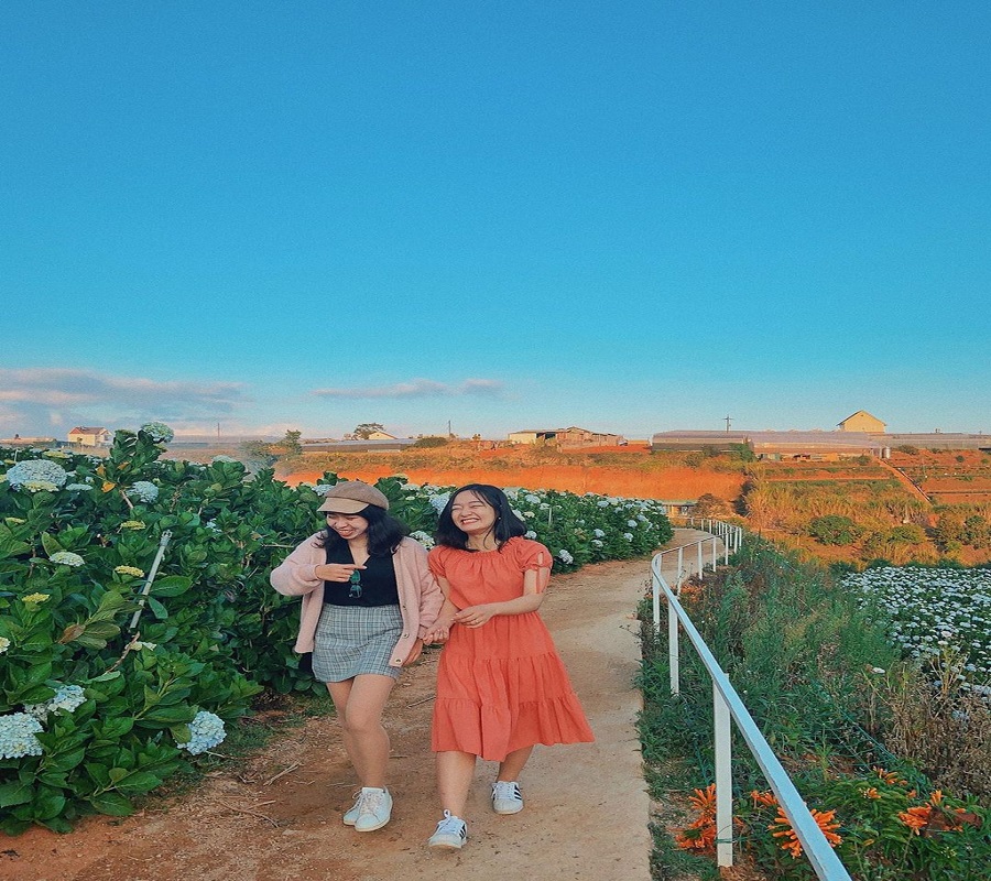 Bí kíp "sống ảo" khi thả dáng khi đến du lịch Đà Lạt