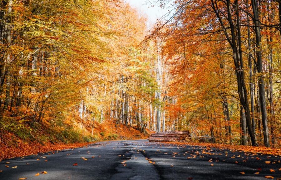 Đảo Jeju - địa điểm nổi tiếng để ngắm cảnh đẹp mùa thu tại xứ sở kim chi