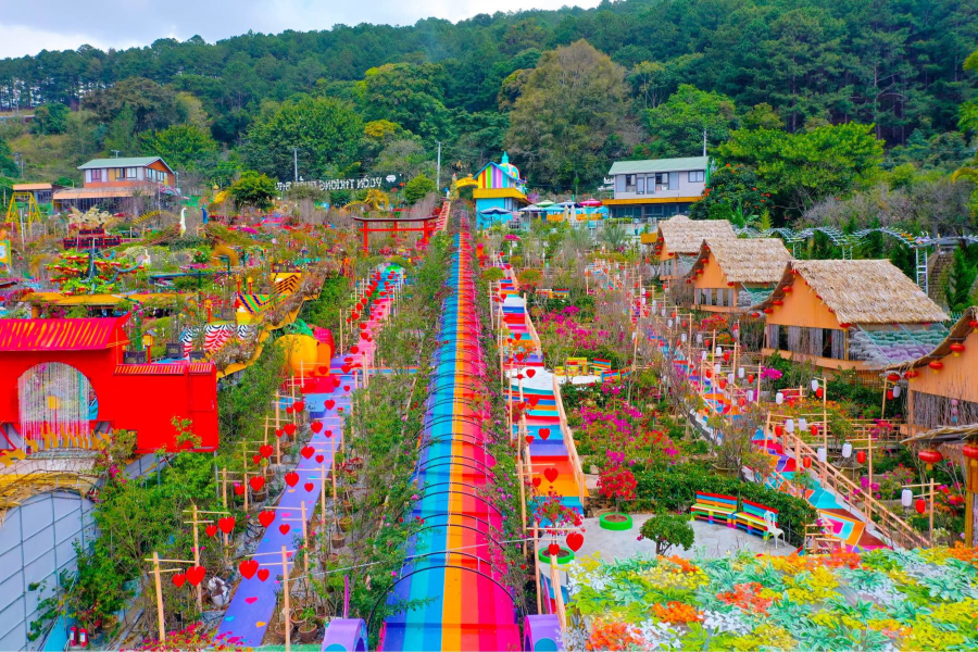 Vẻ đẹp nao lòng người tại Vườn Thượng Uyển Bay